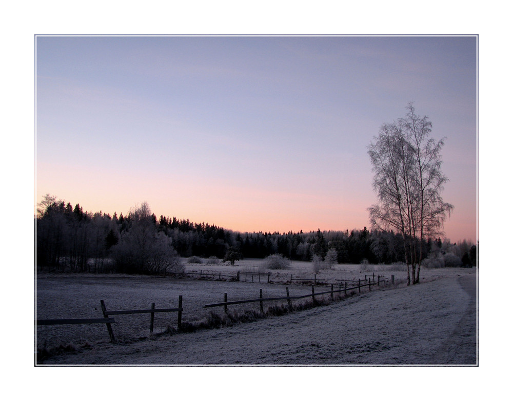 Morgenstimmung in Visättra