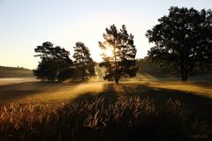 Morgenstimmung in Vorpommern