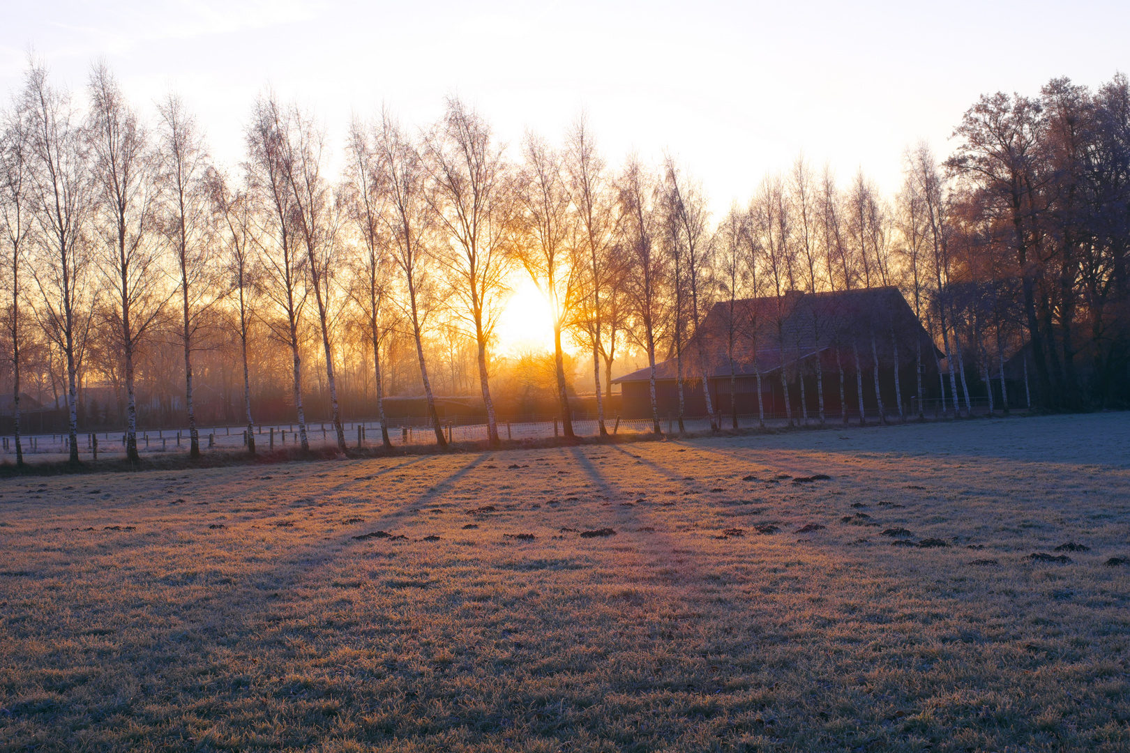 Morgenstimmung in Westfalen 2