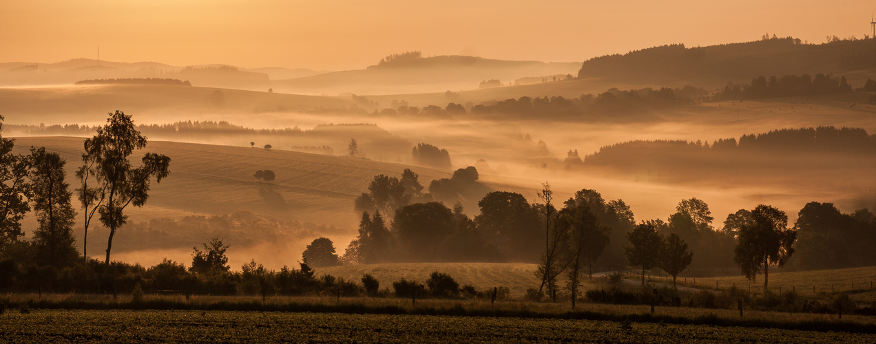 Morgenstimmung in Wittgenstein #1