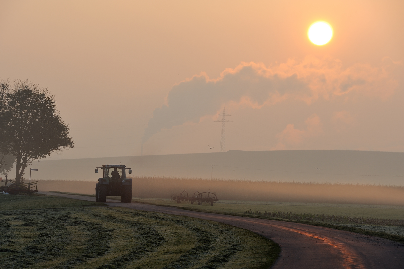 Morgenstimmung irgendwo im Allgäu