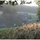 Morgenstimmung irgendwo im Schwarzwald