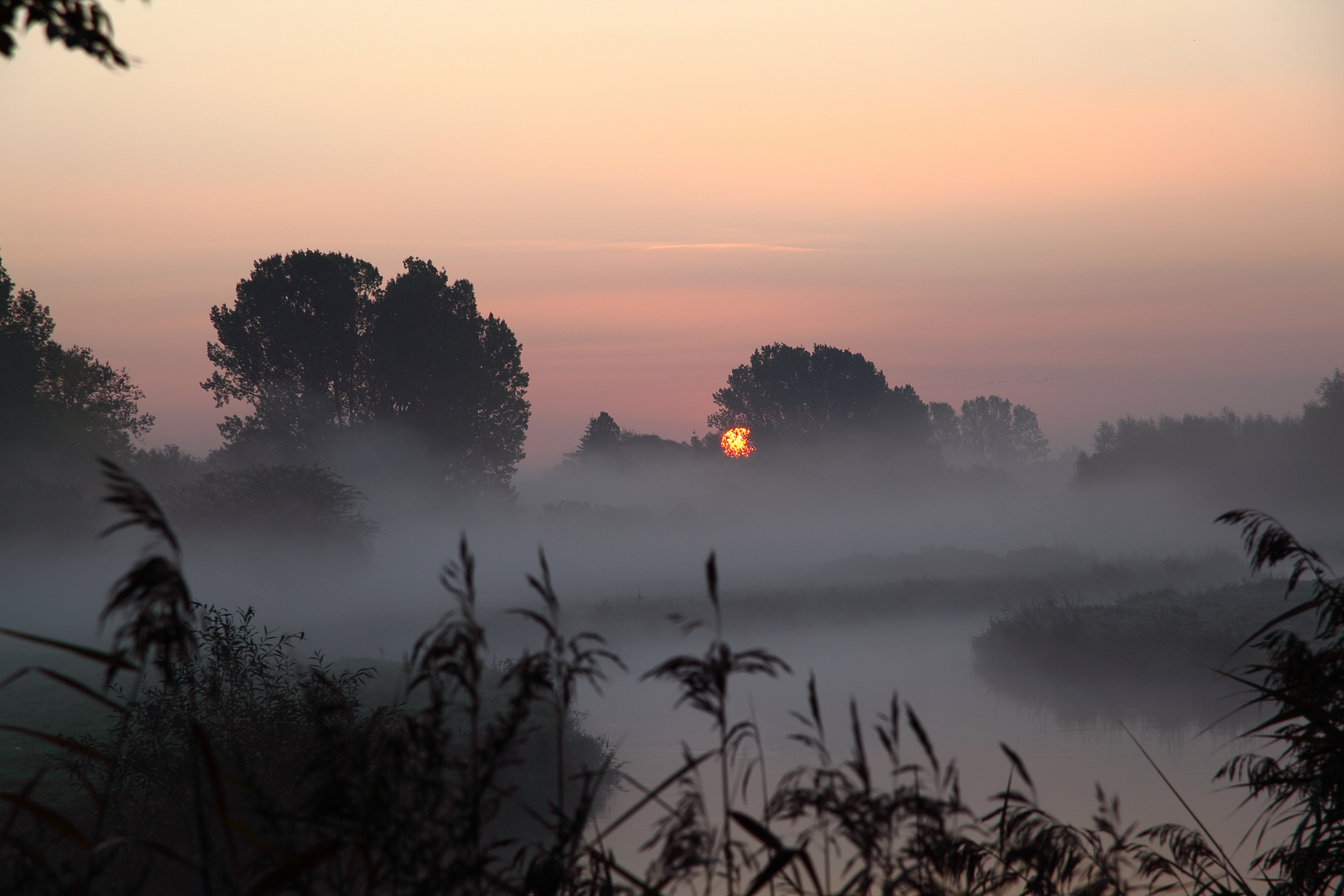 Morgenstimmung Leineaue