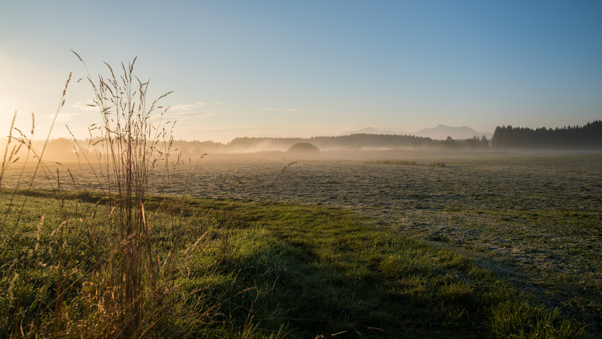 Morgenstimmung mit Bergblick