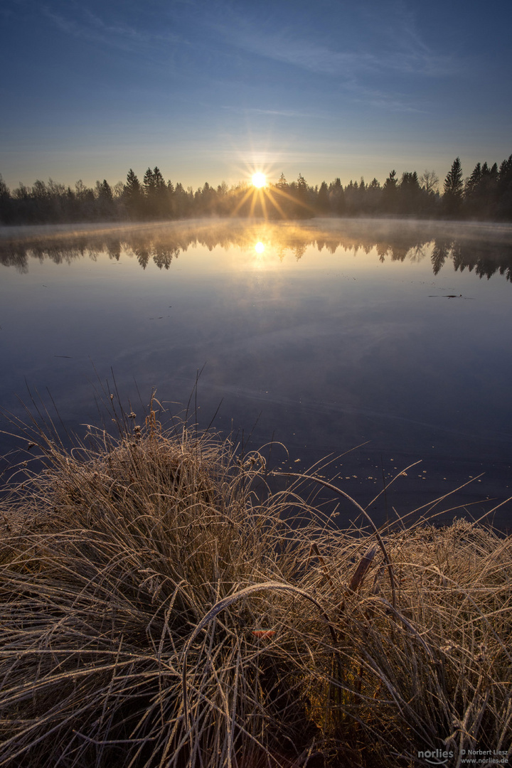 Morgenstimmung mit Dunst