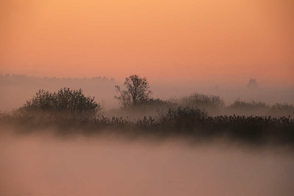 Morgenstimmung mit Sonnenlicht und Nebelstimmung