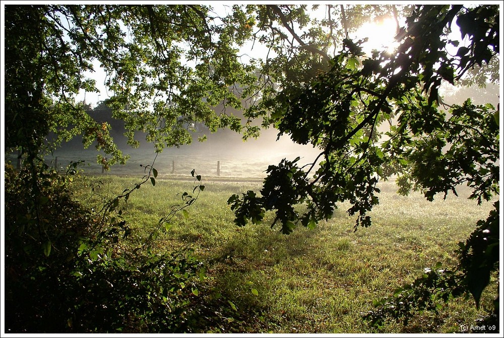 Morgenstimmung mitten in Rastede