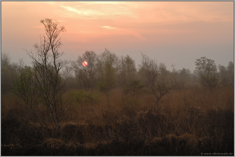 Morgenstimmung... Moorlandschaft *Sonnenaufgang*