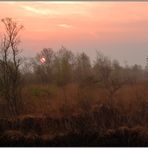 Morgenstimmung... Moorlandschaft *Sonnenaufgang*