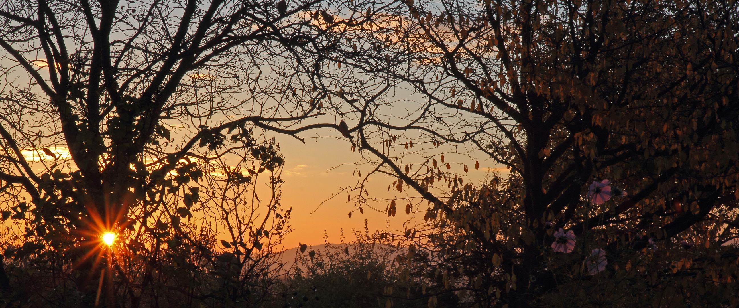 Morgenstimmung nach dem Sonnenaufgang vor reichlich einer Stunde....