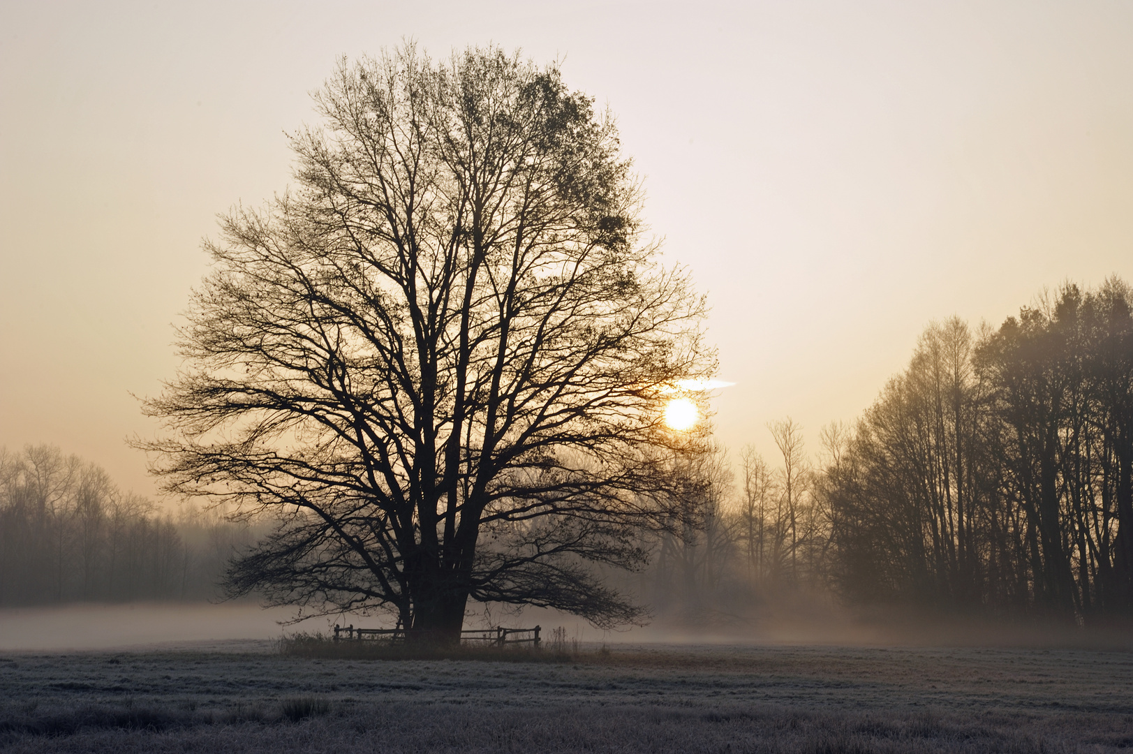 Morgenstimmung nahe Schlepzig