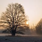 Morgenstimmung nahe Schlepzig