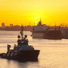 Morgenstimmung Rotterdamer Hafen