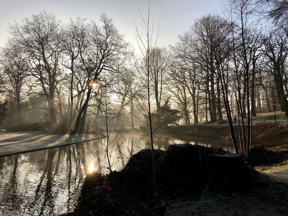 Morgenstimmung Schweriner Schlosspark