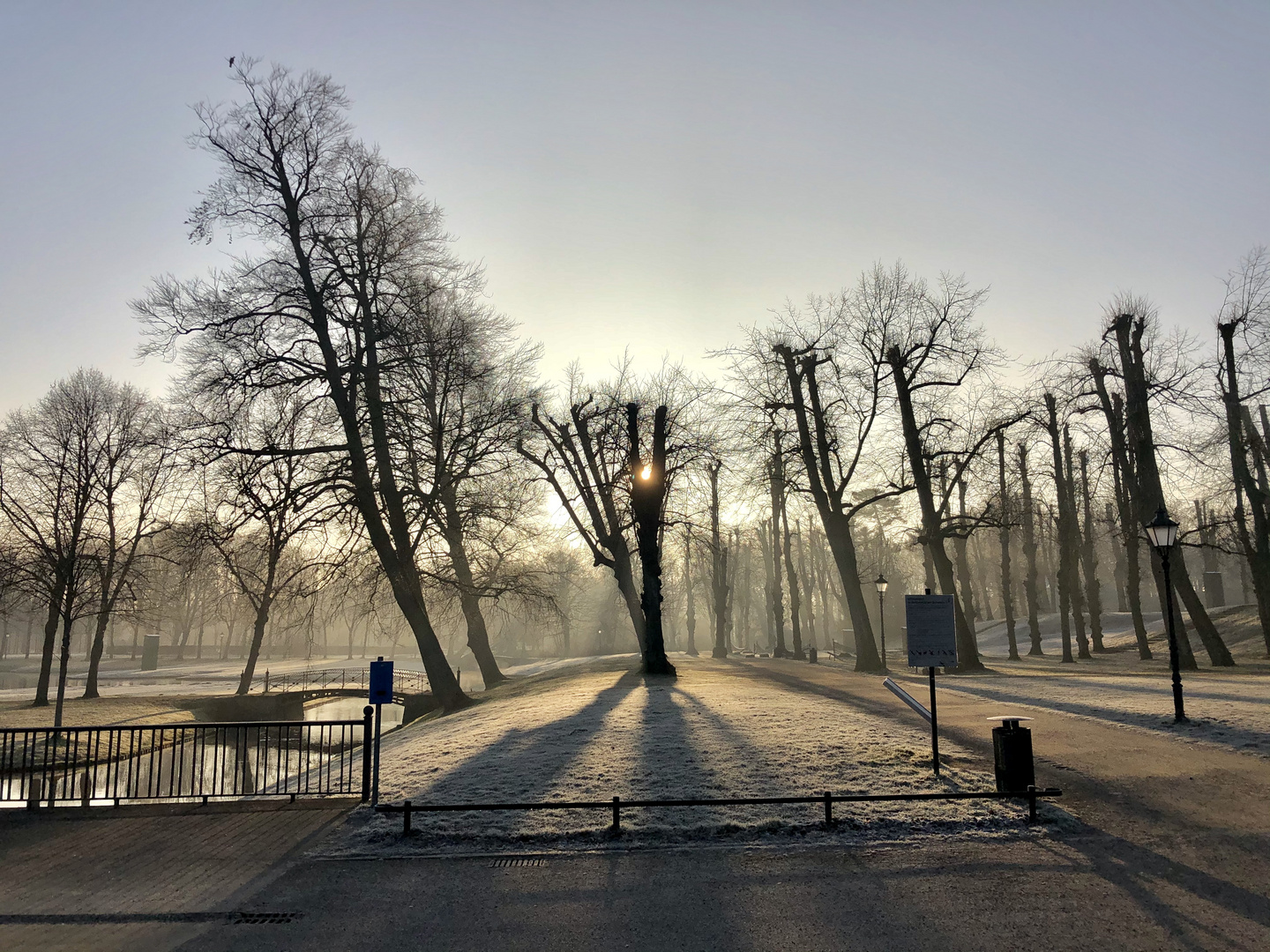 Morgenstimmung Schweriner Schlosspark