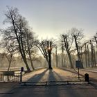 Morgenstimmung Schweriner Schlosspark