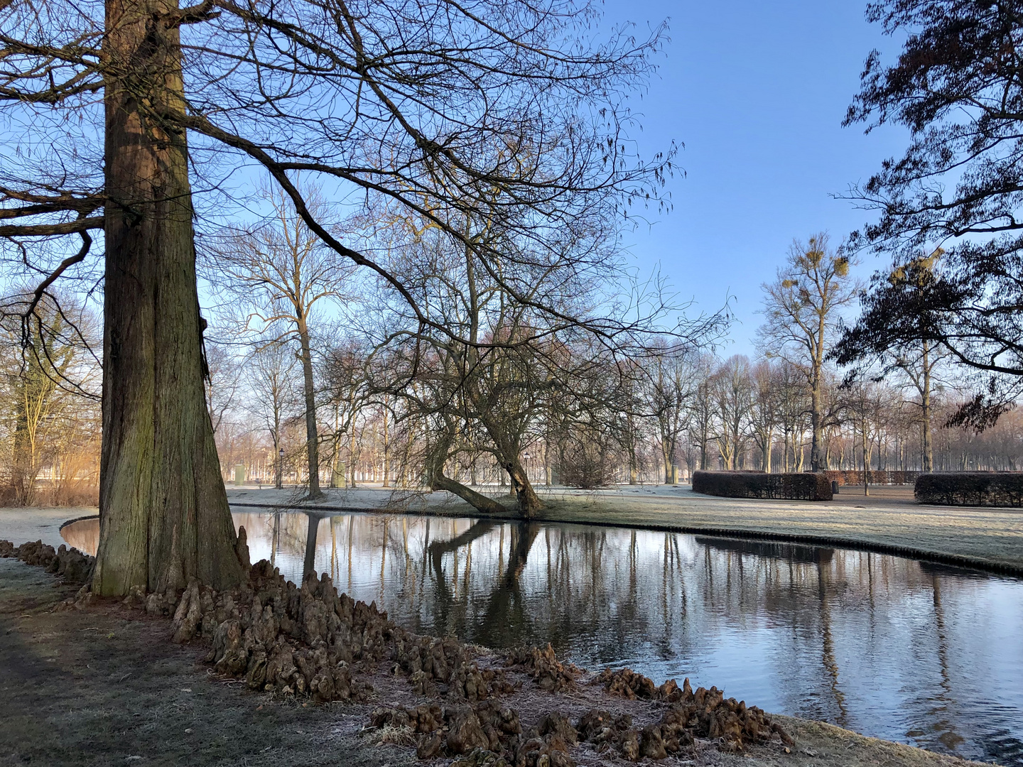 Morgenstimmung Schweriner Schlosspark