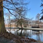 Morgenstimmung Schweriner Schlosspark