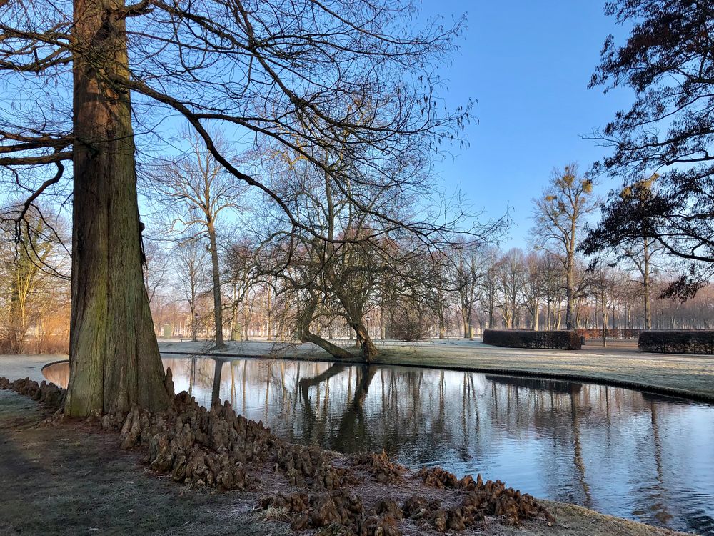 Morgenstimmung Schweriner Schlosspark