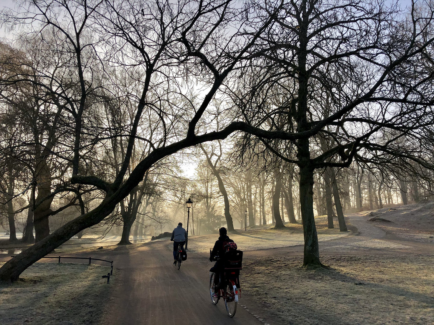 Morgenstimmung Schweriner Schlosspark