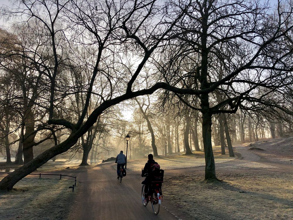 Morgenstimmung Schweriner Schlosspark