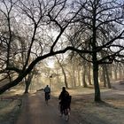 Morgenstimmung Schweriner Schlosspark