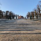 Morgenstimmung Schweriner Schlosspark