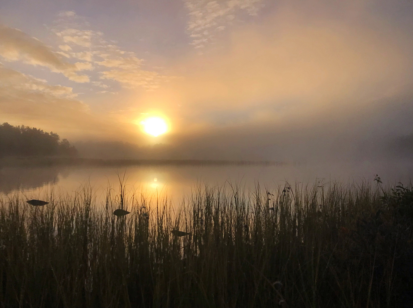 Morgenstimmung Storbosjön