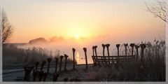 Morgenstimmung "Südliches Ostfriesland"6