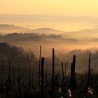 Morgenstimmung Toscana 3