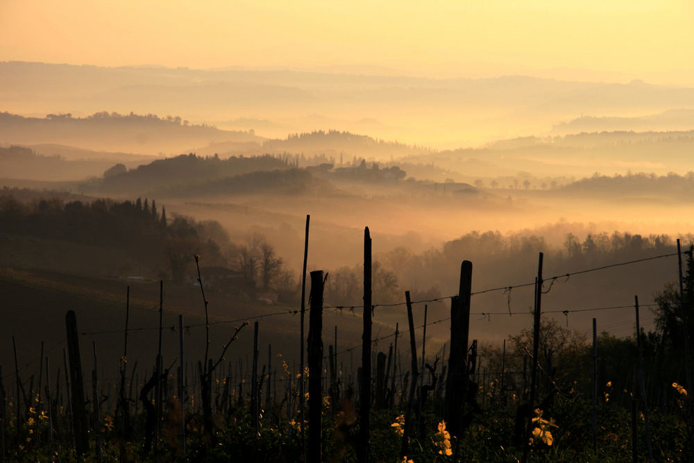 Morgenstimmung Toscana 3