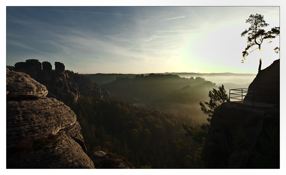 Morgenstimmung über dem Amselgrund