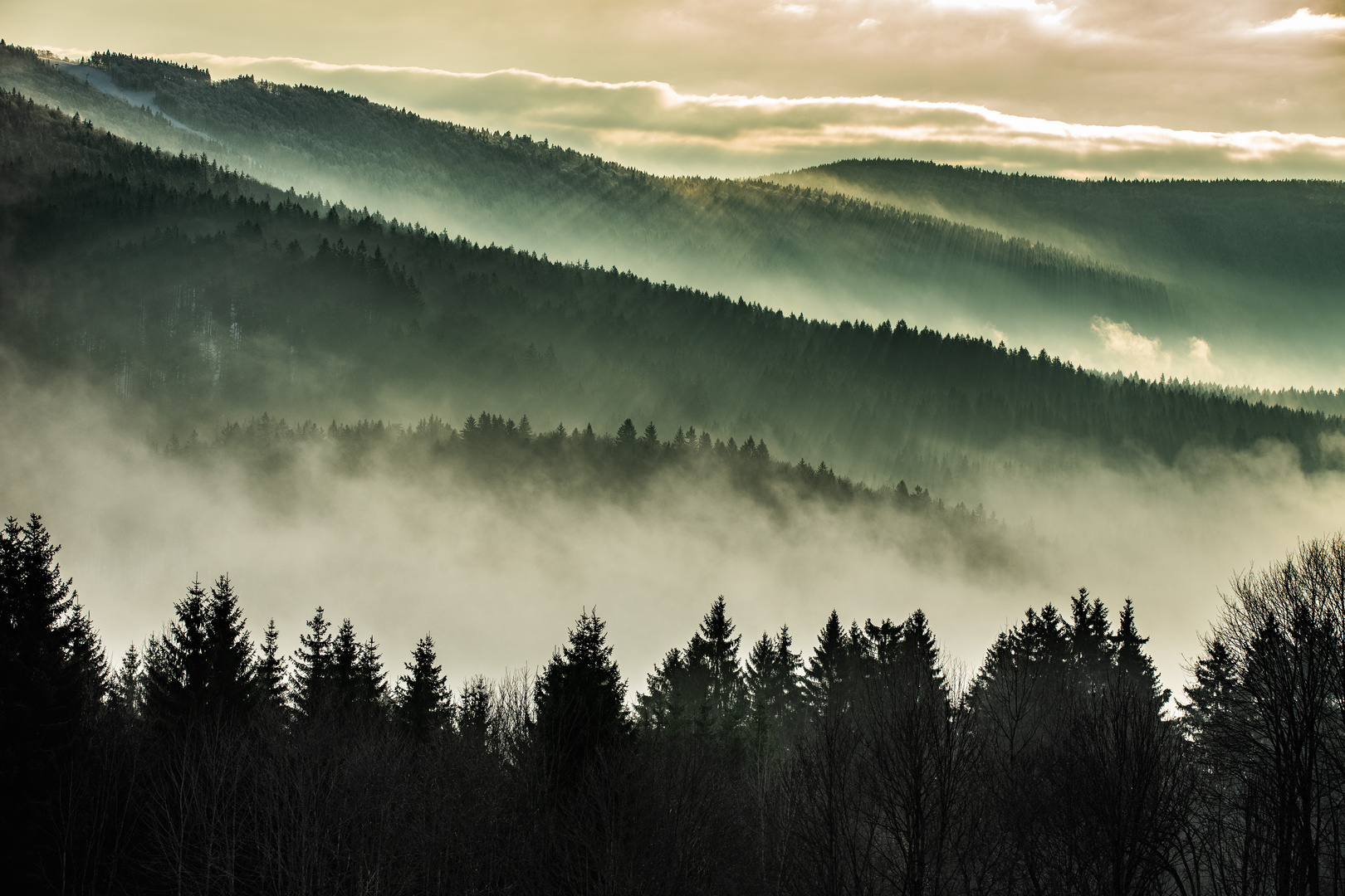 Morgenstimmung über dem bayerischen Wald