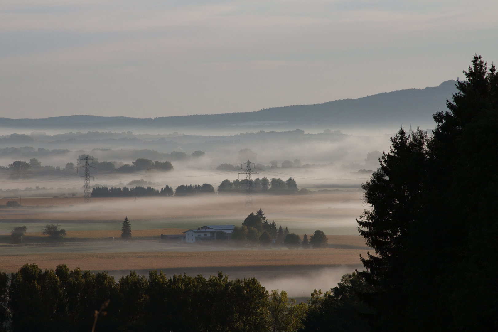 Morgenstimmung über dem Donautal