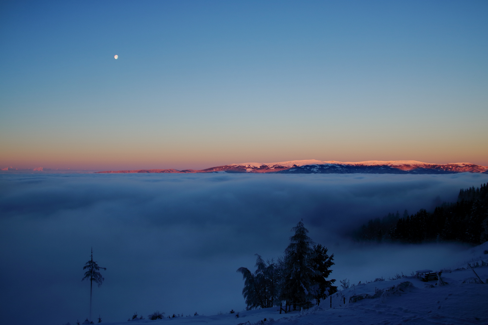 Morgenstimmung über dem Nebel