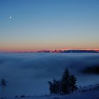 Morgenstimmung über dem Nebel