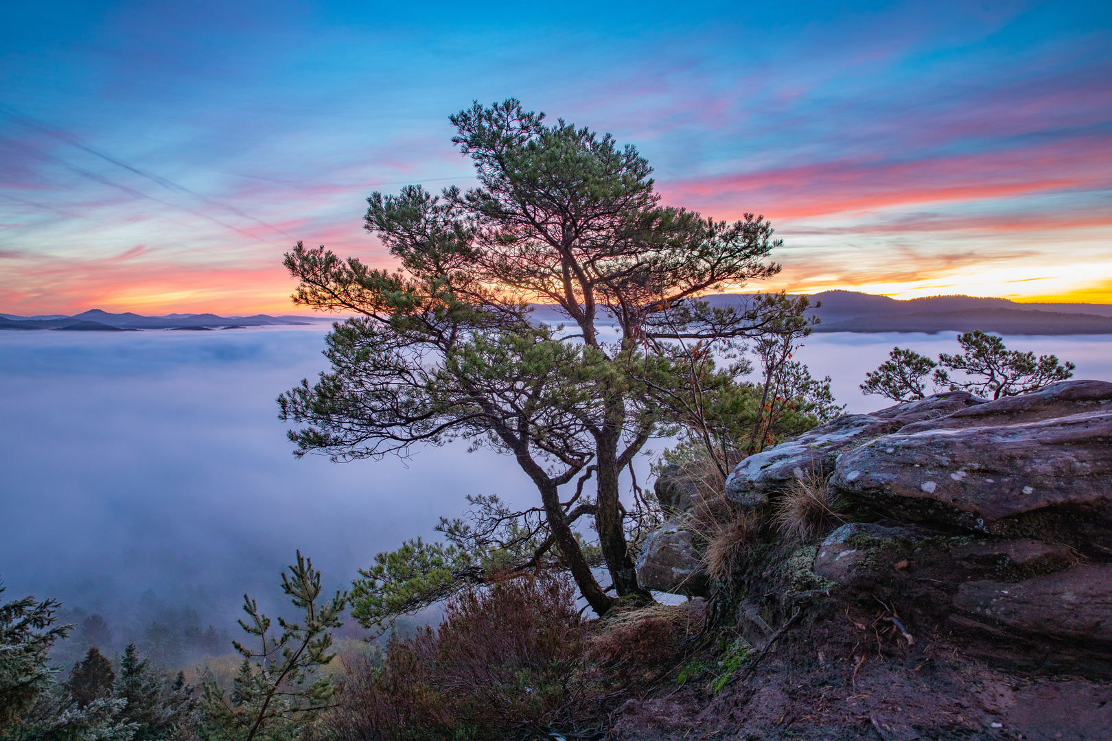 Morgenstimmung über dem Nebelmeer