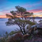 Morgenstimmung über dem Nebelmeer