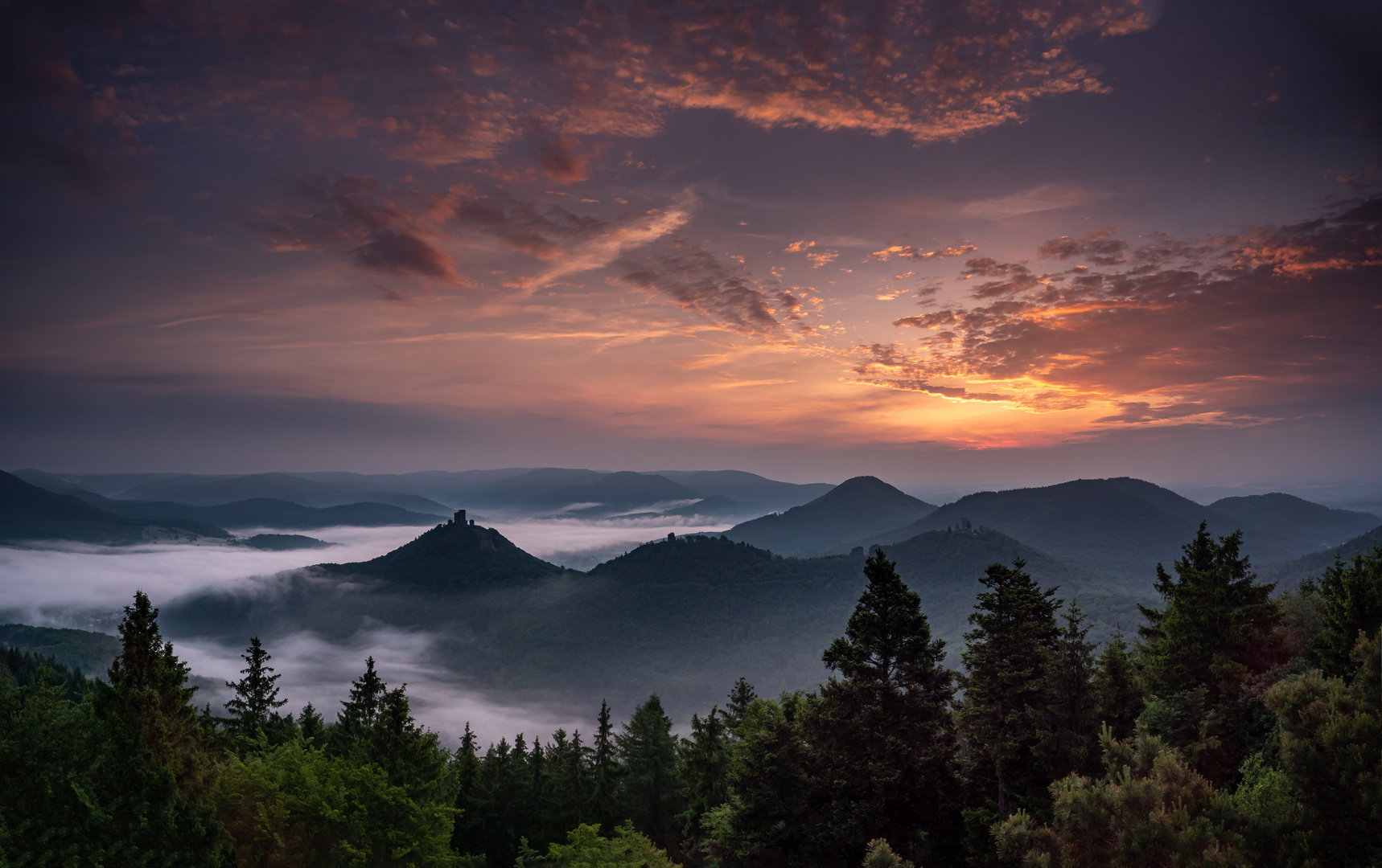 Morgenstimmung über dem Pfälzerwald 