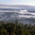 Morgenstimmung über den Bergen Sri Lankas