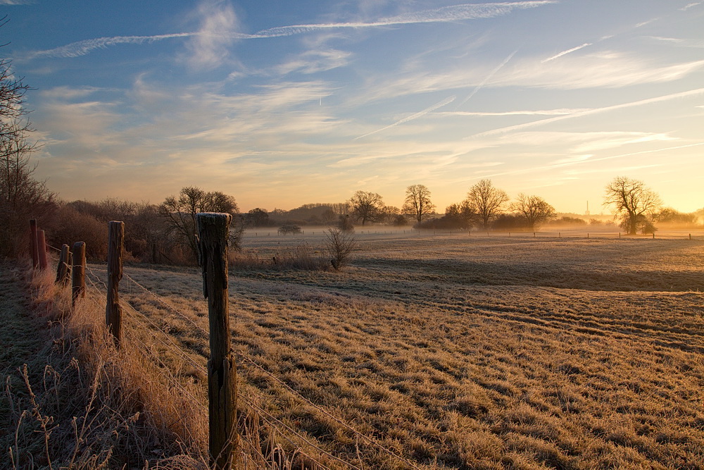 morgenstimmung über der leine