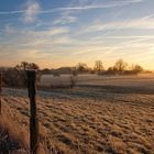 morgenstimmung über der leine