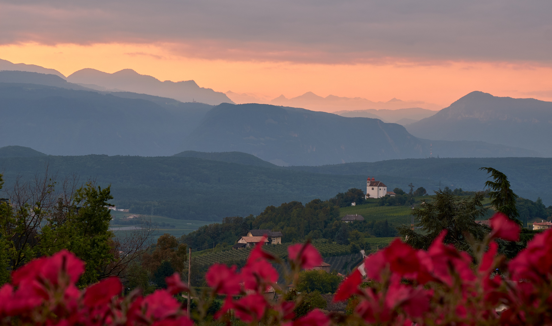 Morgenstimmung über Eppan