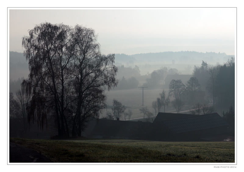 Morgenstimmung über Groppenheim