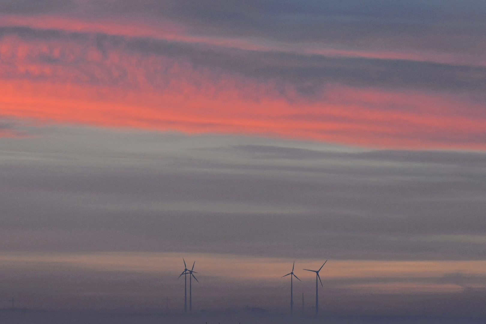 Morgenstimmung über Rheinhessen