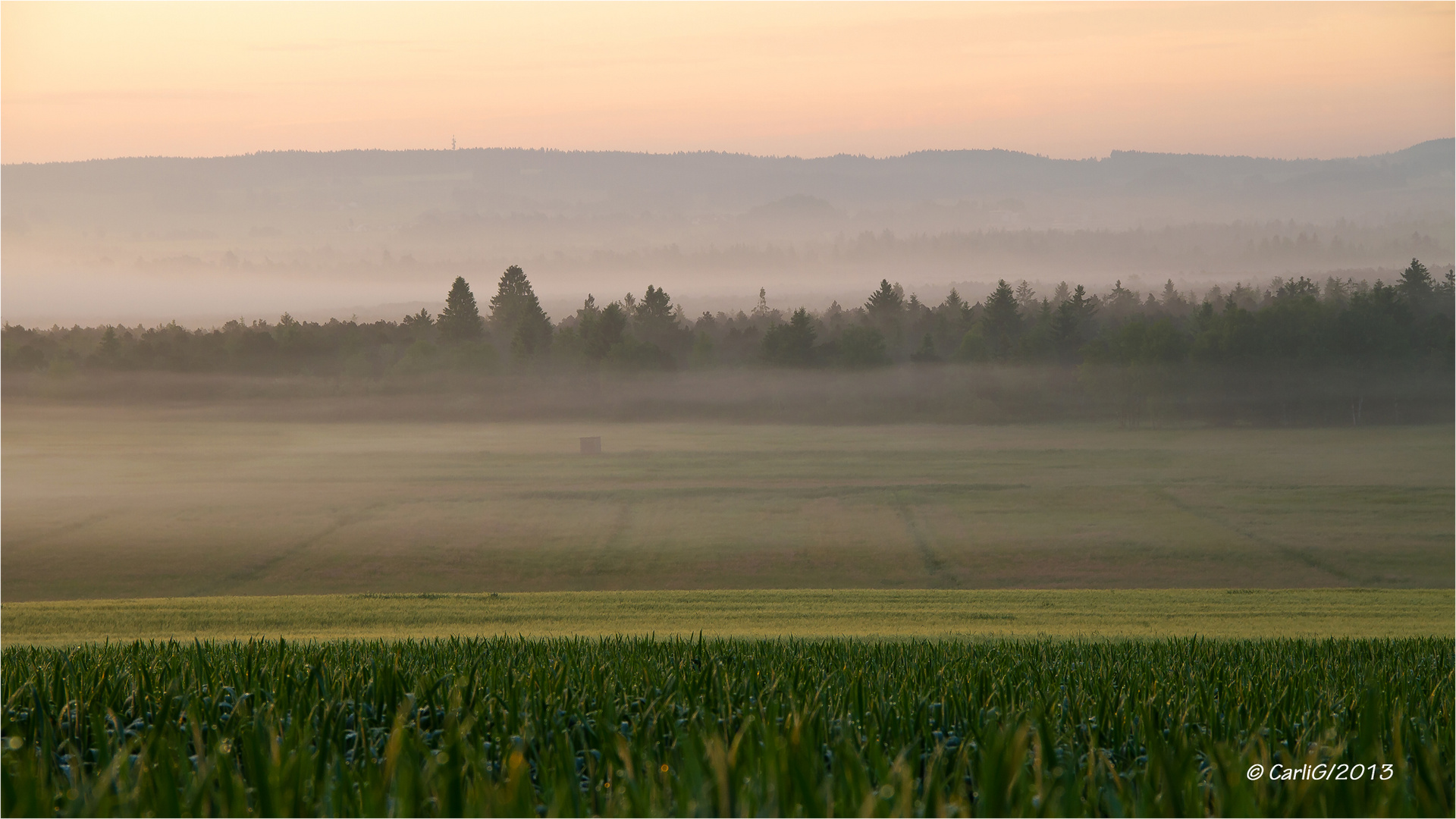 Morgenstimmung überm Wurzacher Ried