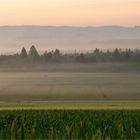 Morgenstimmung überm Wurzacher Ried