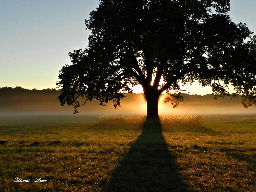 Morgenstimmung und Stille