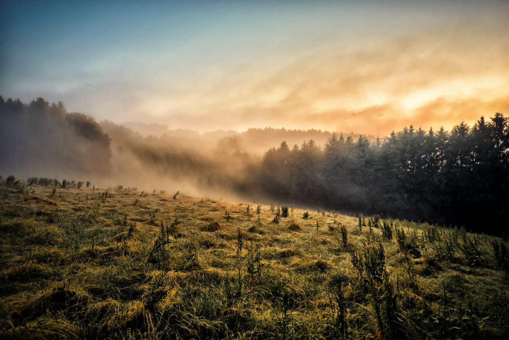 Morgenstimmung unweit von Bergisch Gladbach