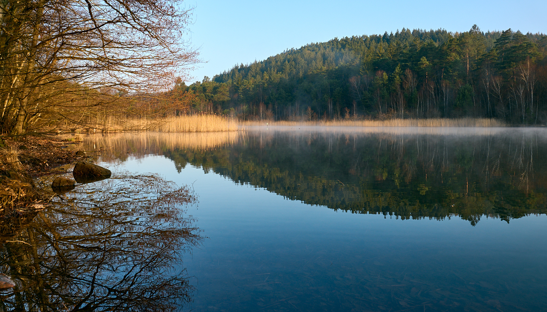 Morgenstimmung vom 25. März 2022 am Gelterswoog. der Nebel löst sich auf.